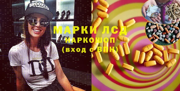 молекула духа Магадан