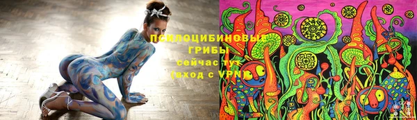 амф Майский