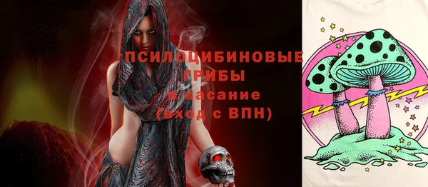 молекула духа Магадан