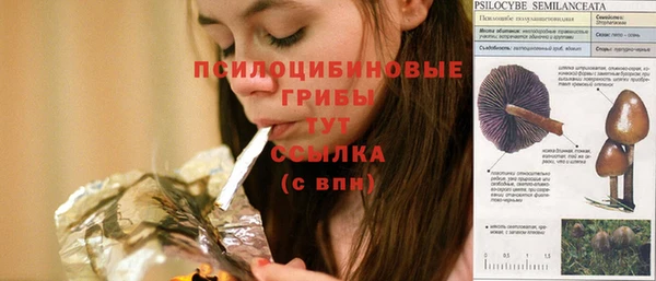 амф Майский