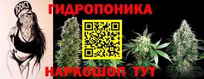 бошки Донецк