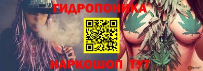 бошки Донецк