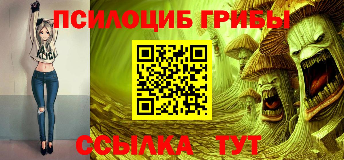 закладки  Вход с VPN  Рубцовск  Галлюциногенные грибы MAGIC MUSHROOMS 