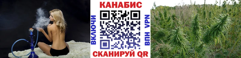 Канабис сатива  МЕГА рабочий сайт  Рубцовск 